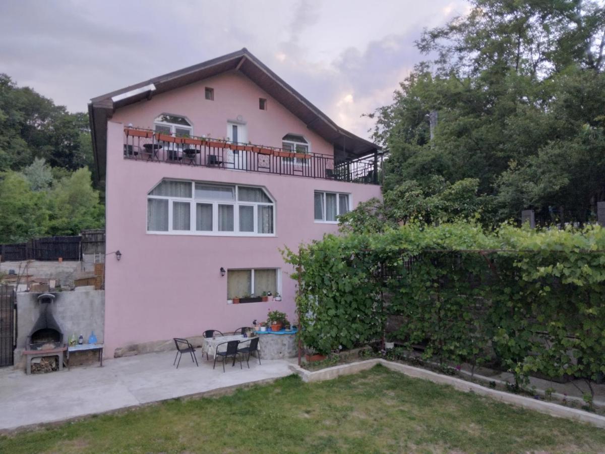 Casamarinela Hotell Orşova Exteriör bild