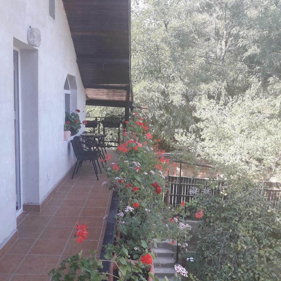 Casamarinela Hotell Orşova Exteriör bild